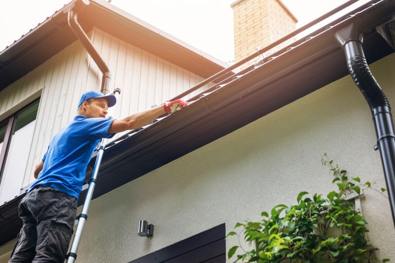 Gutter Cleaning Professionals